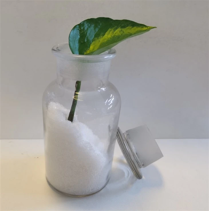 Calcium Nitrate Tetrahydrate Fast-Acting Water-Soluble Calcium And Nitrogen Source suppliers