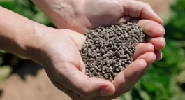 AgroPlantae kjøper Kemin Crop Technologies Portfolio