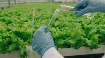 Gjødselindustrien skifter mot integrerte agronomiske systemer, vekk fra fritt...